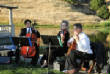 nicholsonranch_winery_wedding/9.jpg