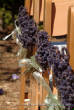 vineyard_kunde/kundevineyardwedding03.jpg