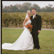 vineyard_rhphillips/rhphillipsvineyardwedding01.jpg