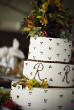 morgancreek/morgancreek6.jpg