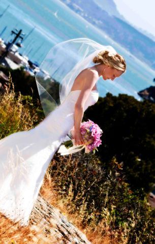 urban_tiburon/tiburon_05.jpg